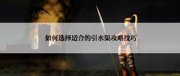  如何选择适合的引水渠攻略技巧