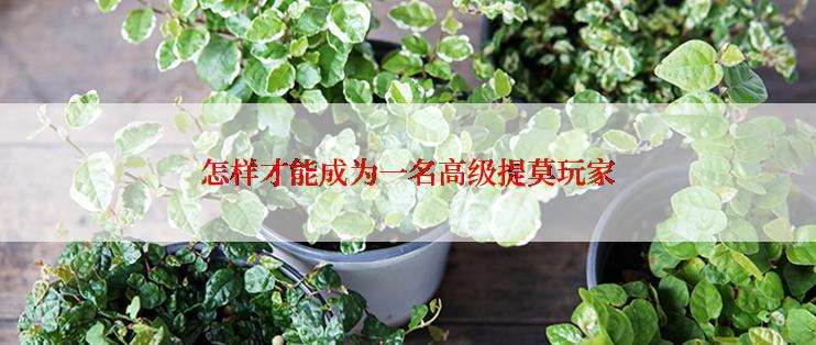怎样才能成为一名高级提莫玩家