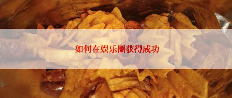  如何在娱乐圈获得成功
