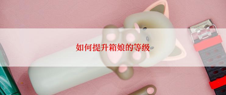 如何提升箱娘的等级