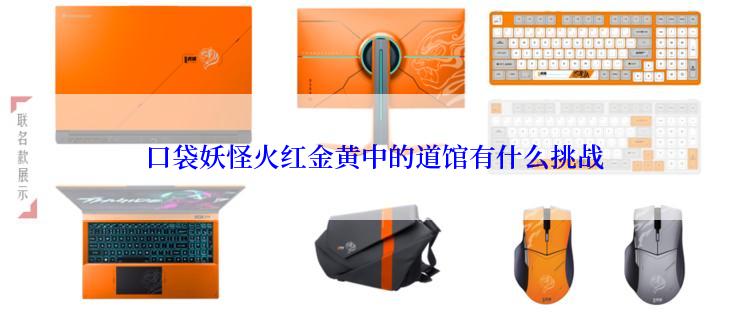  口袋妖怪火红金黄中的道馆有什么挑战