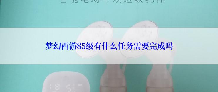 梦幻西游85级有什么任务需要完成吗