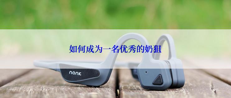 如何成为一名优秀的奶狙