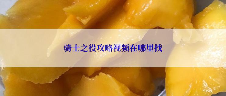 骑士之役攻略视频在哪里找