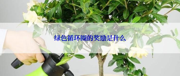 绿色循环圈的奖励是什么