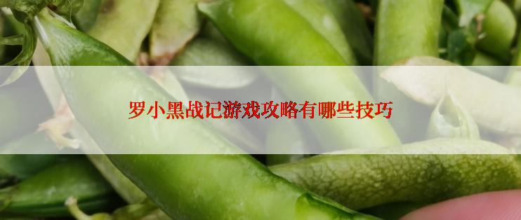 罗小黑战记游戏攻略有哪些技巧