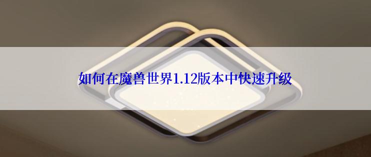 如何在魔兽世界1.12版本中快速升级
