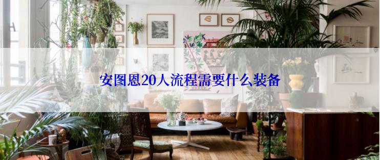 安图恩20人流程需要什么装备