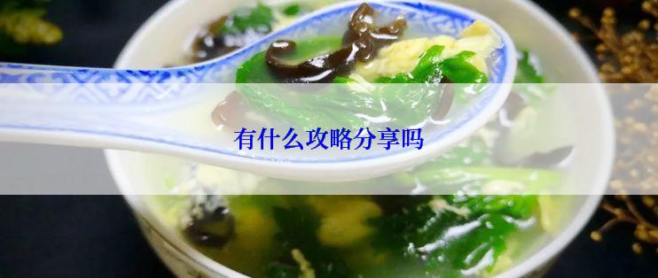 有什么攻略分享吗