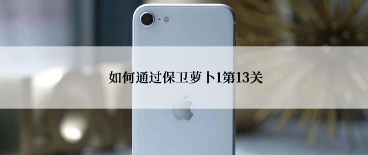  如何通过保卫萝卜1第13关