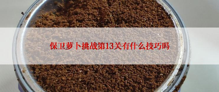 保卫萝卜挑战第13关有什么技巧吗