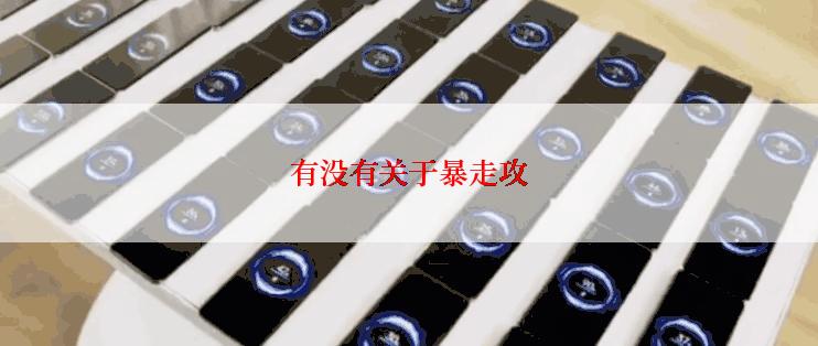 有没有关于暴走攻