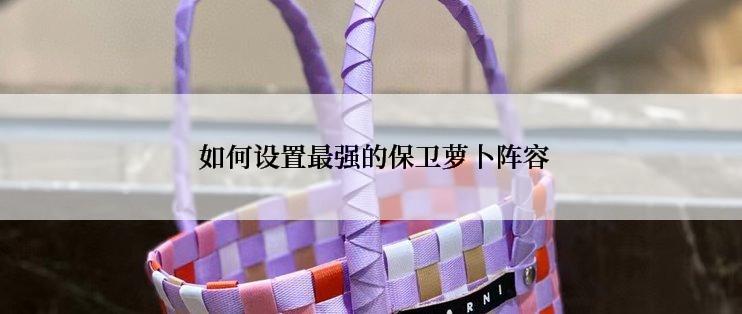  如何设置最强的保卫萝卜阵容