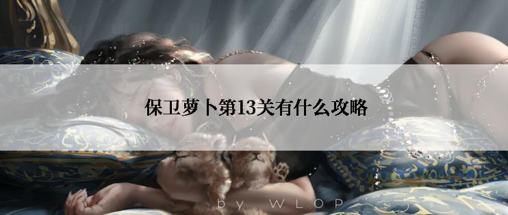  保卫萝卜第13关有什么攻略