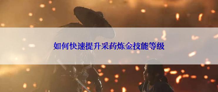 如何快速提升采药炼金技能等级