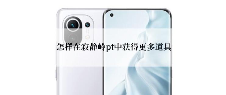 怎样在寂静岭pt中获得更多道具