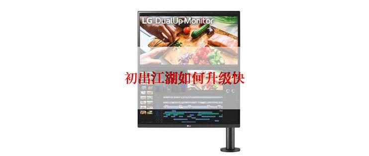 初出江湖如何升级快