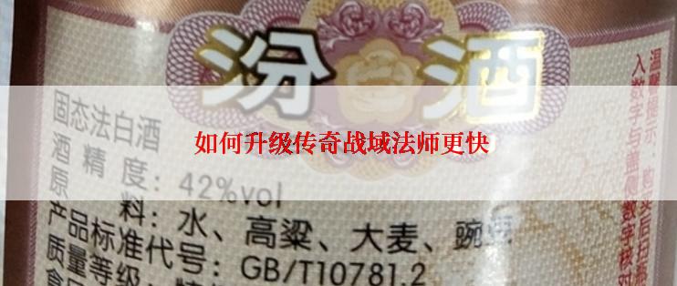  如何升级传奇战域法师更快