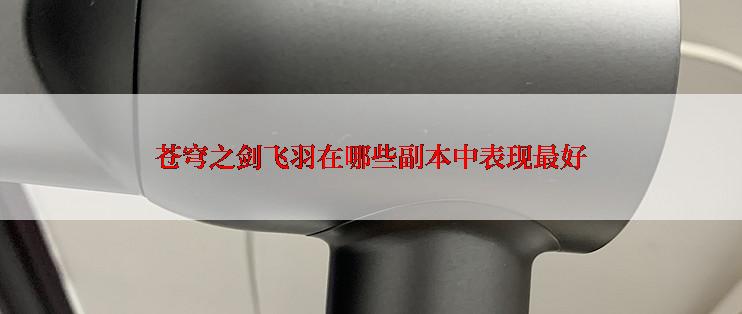 苍穹之剑飞羽在哪些副本中表现最好