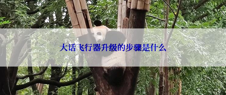 大话飞行器升级的步骤是什么