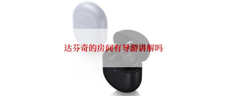 达芬奇的房间有导游讲解吗