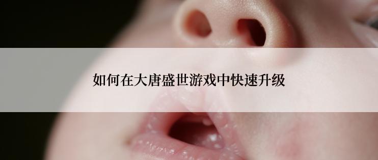 如何在大唐盛世游戏中快速升级