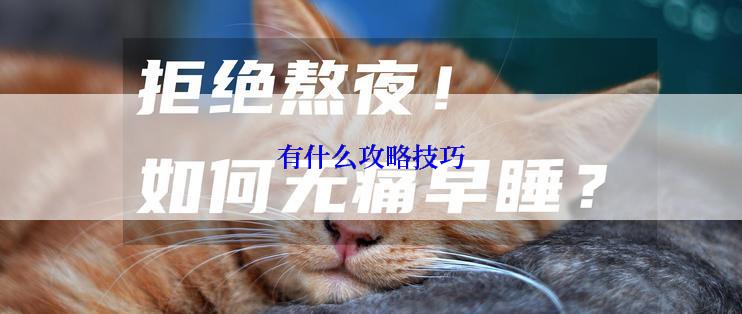 有什么攻略技巧