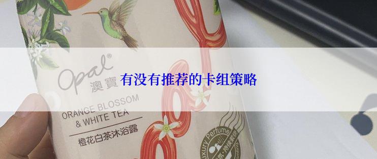 有没有推荐的卡组策略