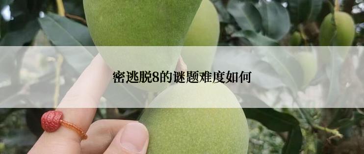 密逃脱8的谜题难度如何