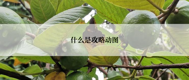 什么是攻略动图