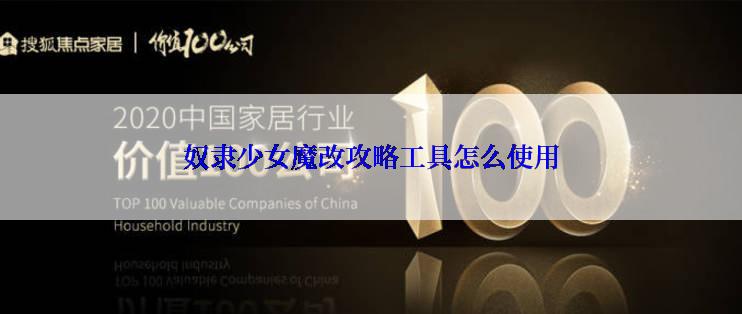 奴隶少女魔改攻略工具怎么使用