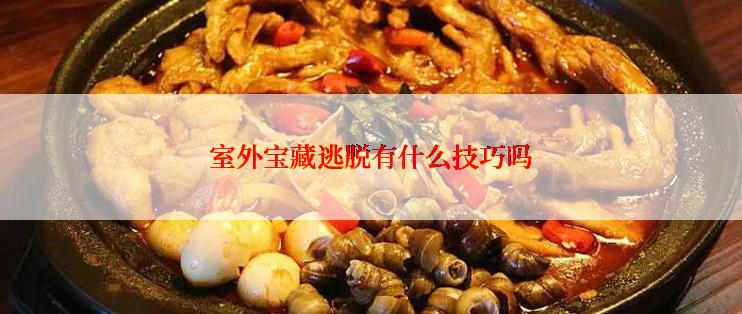 室外宝藏逃脱有什么技巧吗