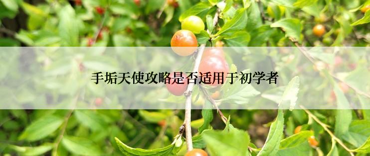 手垢天使攻略是否适用于初学者