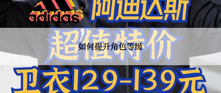 如何提升角色等级