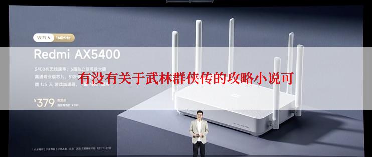 有没有关于武林群侠传的攻略小说可