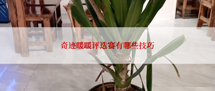 奇迹暖暖评选赛有哪些技巧