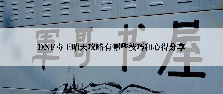 DNF毒王晴天攻略有哪些技巧和心得分享