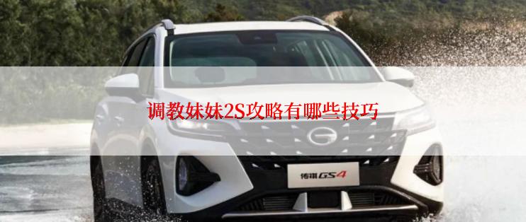 调教妹妹2S攻略有哪些技巧
