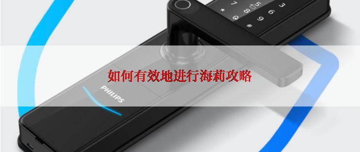 如何有效地进行海莉攻略