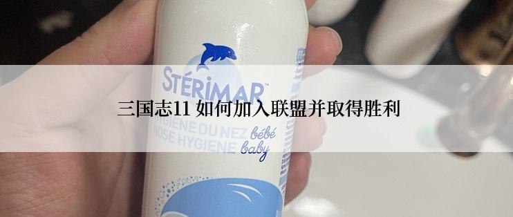  三国志11 如何加入联盟并取得胜利