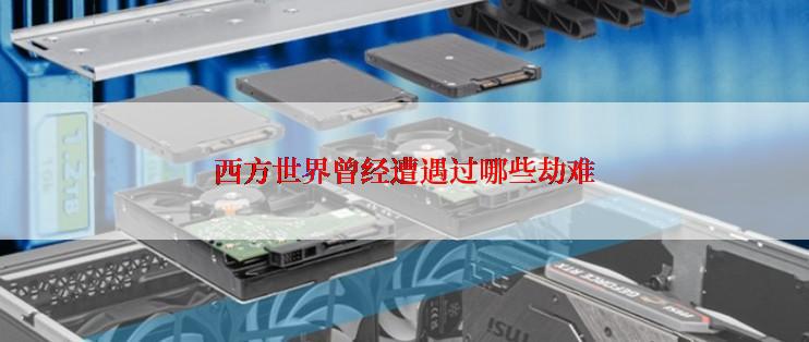 西方世界曾经遭遇过哪些劫难