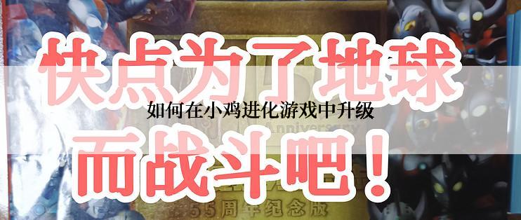 如何在小鸡进化游戏中升级