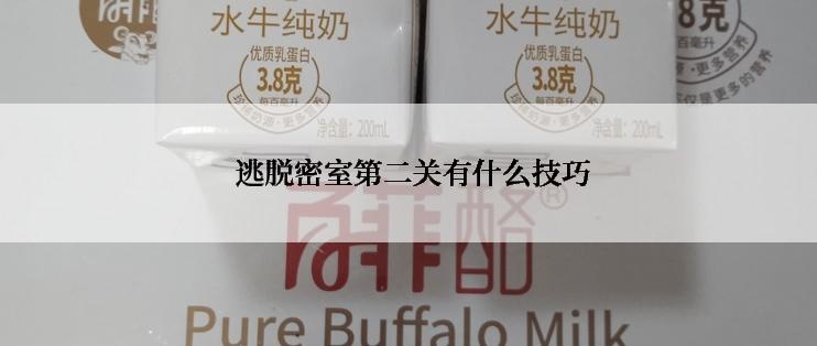  逃脱密室第二关有什么技巧