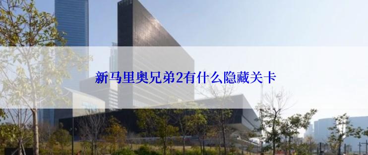  新马里奥兄弟2有什么隐藏关卡