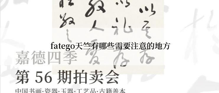 fatego天竺有哪些需要注意的地方
