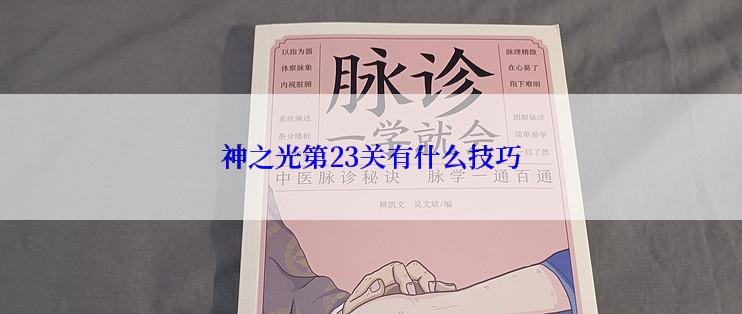 神之光第23关有什么技巧
