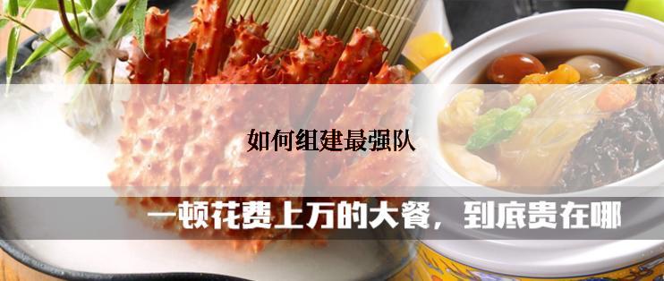 如何组建最强队