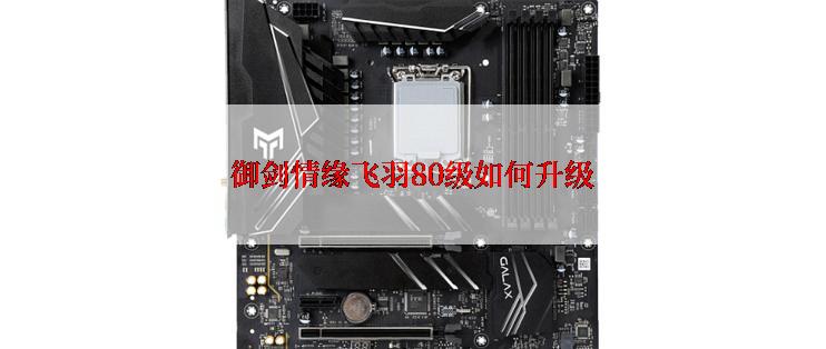 御剑情缘飞羽80级如何升级