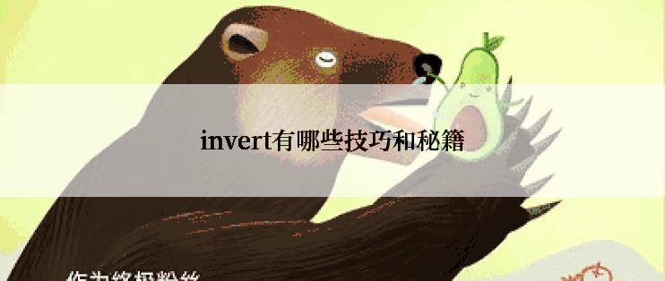 invert有哪些技巧和秘籍