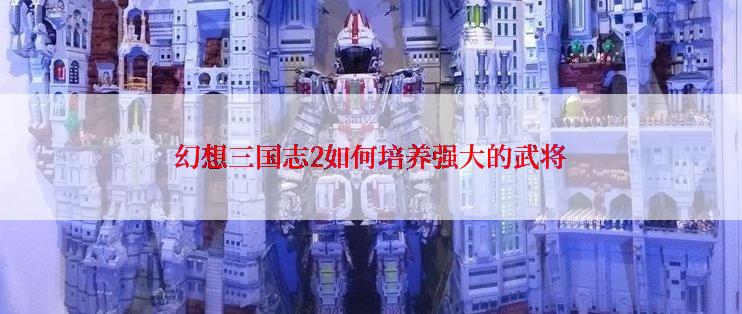 幻想三国志2如何培养强大的武将